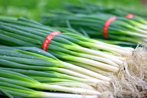 大善人吃瓜,揭秘慈善界的甜蜜诱惑  第1张